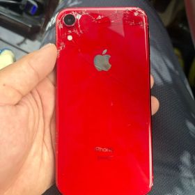 Apple iPhone XR RED 本体