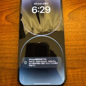 背面割れ_iPhone 14 Pro 256GB スペースブラック