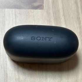 ソニー LinkBuds S WF-LS900N BLACK