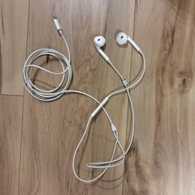 Apple EarPods with Lightning Connector