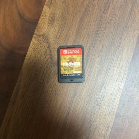 ゼルダの伝説 ブレス オブ ザ ワイルド Switch ソフト