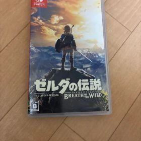 ミ*ン様 ゼルダの伝説 ブレス オブ ザ ワイルド Switch