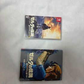 ゼルダの伝説 ブレス オブ ザ ワイルド Switch