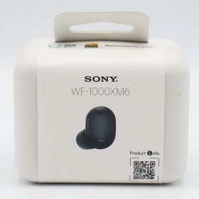 【未使用】SONY WF-1000XM6-B ブラック 完全ワイヤレスイヤホン ソニー 本体