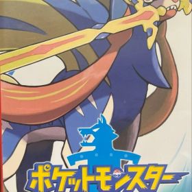 Nintendo Switch /ポケットモンスター ソード