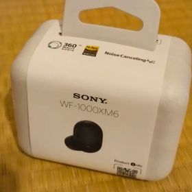 WF-1000XM6 新品 2,280円 中古 11,000円 | ネット最安値の価格比較