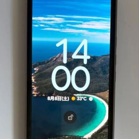 GooglePixel 10 Pro XL Moonstone＋全面保護ケース付