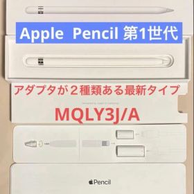 Apple Pencil アップルペンシル 第1世代 アダプタ2種類