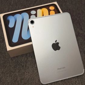 ［美品］iPad mini(A17 pro)Wi-Fi+Cellular ブルー