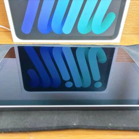 ジャンク iPad mini A17 Pro 128GB Wi-Fi 水没