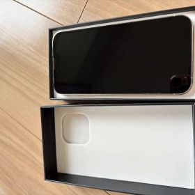 iPhone 13 Pro 256GB シルバー SIMフリー 美品