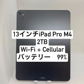 13インチ iPad Pro M4 2TB 54042