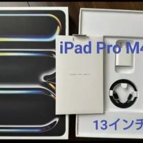 iPad Pro (M4) Wi-Fi + Cellular 2TB 13インチ