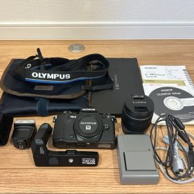 【シャッター数少】OLYMPUS OM-D E-M5 Mark II レンズ付