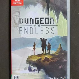 ダンジョン オブ ジ エンドレス(Dungeon of the ENDLESS)