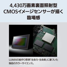 【長期5年保証付】パナソニック(Panasonic) LUMIX S1RII ボディ ミラーレス一眼カメラ DC-S1RM2