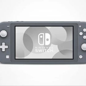 Nintendo Switch Lite グレー 本体 どうぶつの森ケース付
