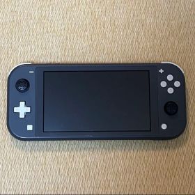 Nintendo Switch Lite グレー 本体のみ