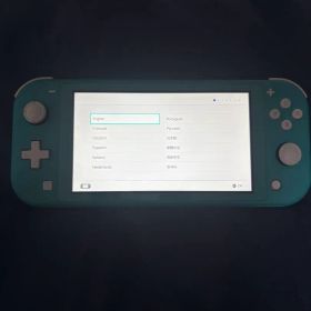Nintendo Switch Lite 本体 ターコイズ（充電器なし）