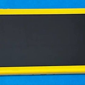 Nintendo Switch Lite イエロー【動作確認済】