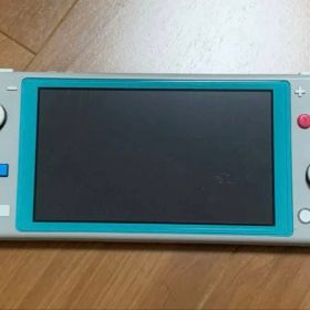 【ジャンク】Switchライト ザシアンザマゼンタ/ターコイズブルー