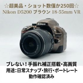 極上 Nikon D5200 ブラウン 18-55mm VR シャッター250回