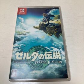 ゼルダの伝説 ティアーズ オブ ザ キングダム Switch