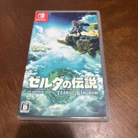 ゼルダの伝説 ティアーズ オブ ザ キングダム Switch