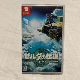 ゼルダの伝説 ティアーズ オブ ザ キングダム
