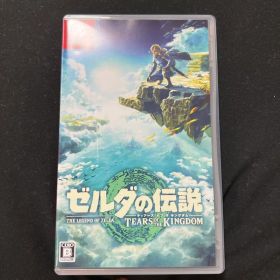 ゼルダの伝説 ティアーズ オブ ザ キングダム