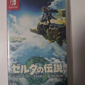 ゼルダの伝説 ティアーズ オブ ザ キングダム Switch