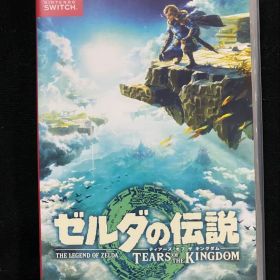 ゼルダの伝説 ティアーズ オブ ザ キングダム Switch