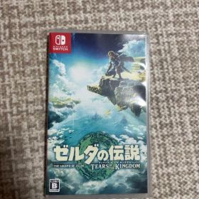 ゼルダの伝説 ティアーズ オブ ザ キングダム Switch