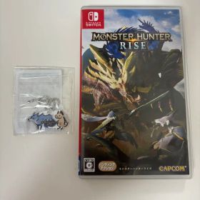 モンスターハンターライズ Nintendo Switch ソフト