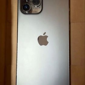 Apple iPhone 12 Pro max本体256GB(箱無し)おまけ付き
