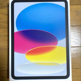 【新品未開封】Apple iPad A16 Wi-Fi 256GB ブルー