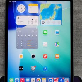iPad Pro 12.9インチ 第4世代 256GB 訳あり