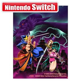 ナツメアタリ (Switch)闇の仕事人KAGE Shadow of The Ninja 返品種別B