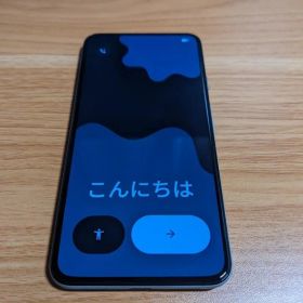 Google pixel 5 Evolution X Sorta Sage
