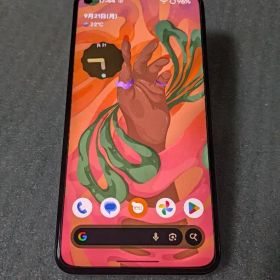 Google pixel5 evolution x os Android 16