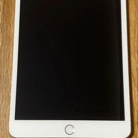 iPad mini 3 16GB シルバー 動作確認済み