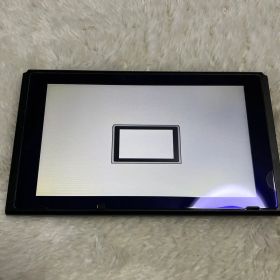 Nintendo Switch HAC-001 本体のみ ジャンク品