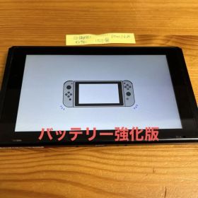 Nintendo Switch 本体 HAC 313