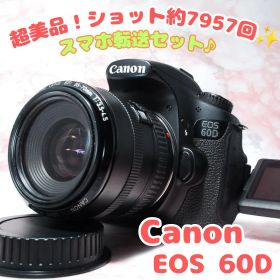 ✨Canon EOS 60D✨美品 中級機 高画質 バリアングル液晶 一眼レフ