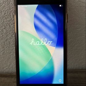 説明欄必読 iPhone SE3 256GB 本体 第3世代 SIMフリー