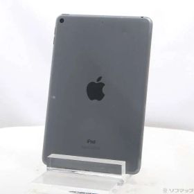 ソフマップ 〔中古品〕 iPad mini 第5世代 256GB スペースグレイ MUU32J／A Wi-Fi【305】