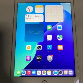 【美品】Apple iPad mini5/64G/Wi-Fi+Cellular