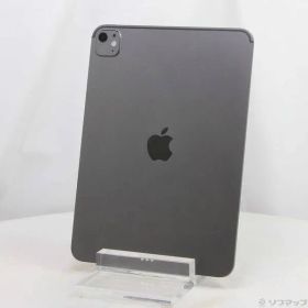 ソフマップ 〔中古品〕 iPad Pro 11インチ(M5) 標準ガラス 256GB スペースブラック MDWK4J／A Wi-Fi【377】