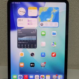 iPadPro 11-inch M5 256GB Wi-FiCellular