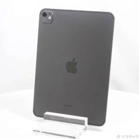 ソフマップ 〔中古品〕 iPad Pro 11インチ 第5世代 標準ガラス 1TB スペースブラック MVW53J／A SIMフリー【305】
